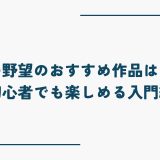 信長の野望のおすすめ作品はこれ！初心者でも楽しめる入門編
