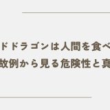 コモドドラゴンは人間を食べる？事故例から見る危険性と真相