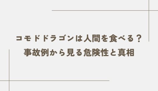 コモドドラゴンは人間を食べる？事故例から見る危険性と真相